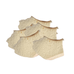 Dried Cuttlefish Topping